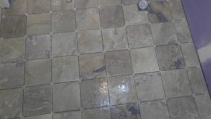 16507983_1297716170322253_7549146445732684119_n