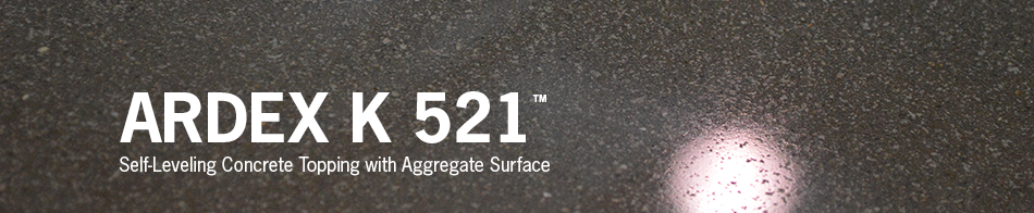 Website banner for K521